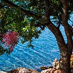In Starigrad-paklenica 34902